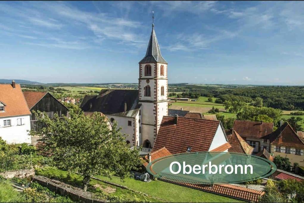 Gite Classe 4 Etoiles  La Maison Du Tonnelier Oberbronn Экстерьер фото